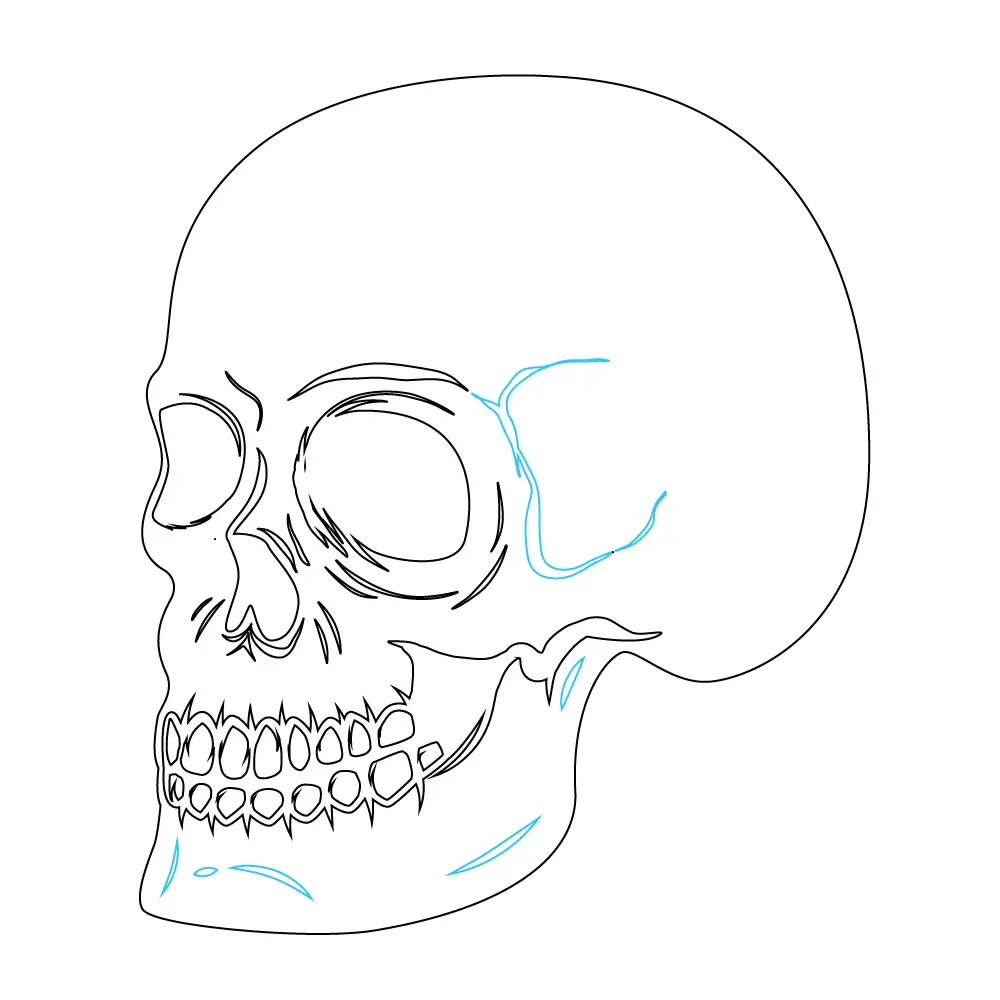 How to Draw A Skeleton Head Step by Step Step  9