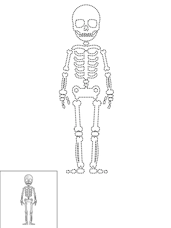 How to Draw A Skeleton Step by Step Printable Dotted