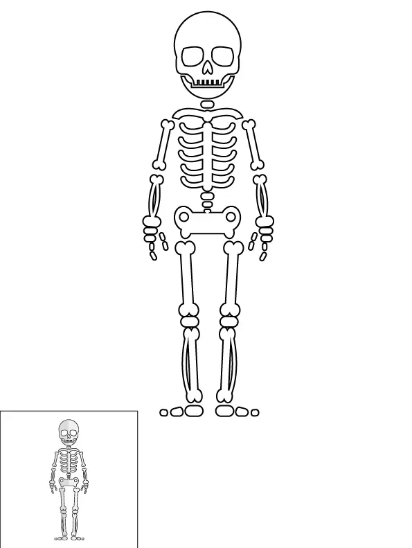 How to Draw A Skeleton Step by Step Printable Color