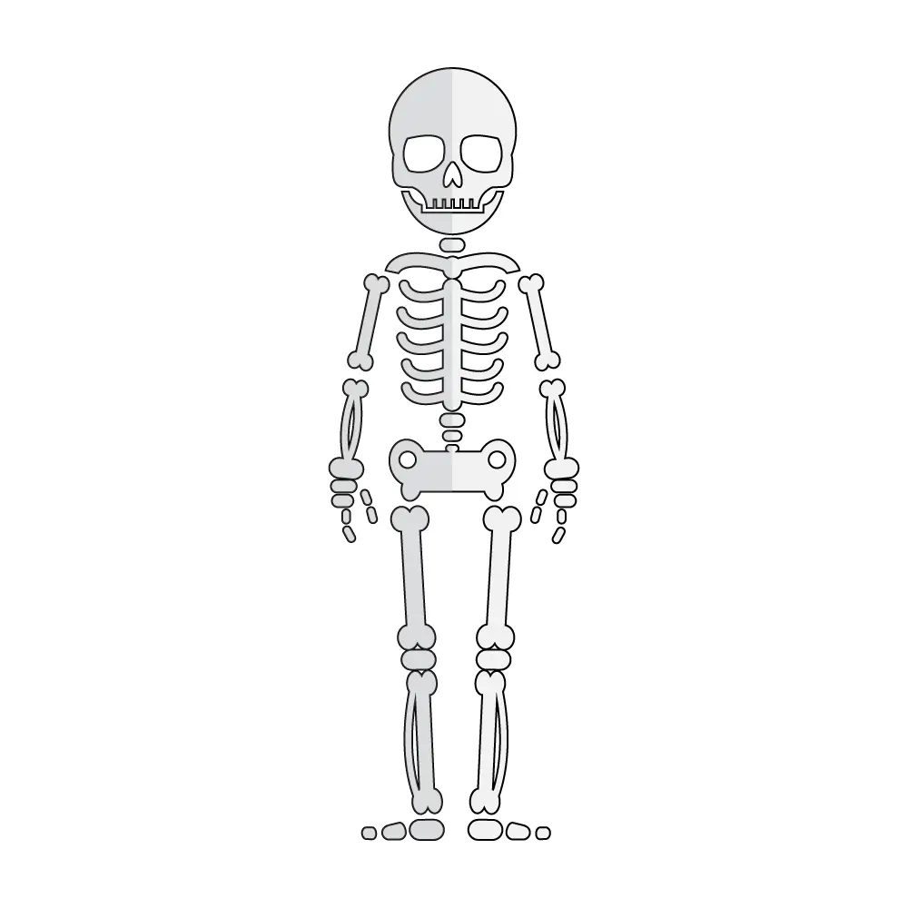 How to Draw A Skeleton Step by Step Step  11