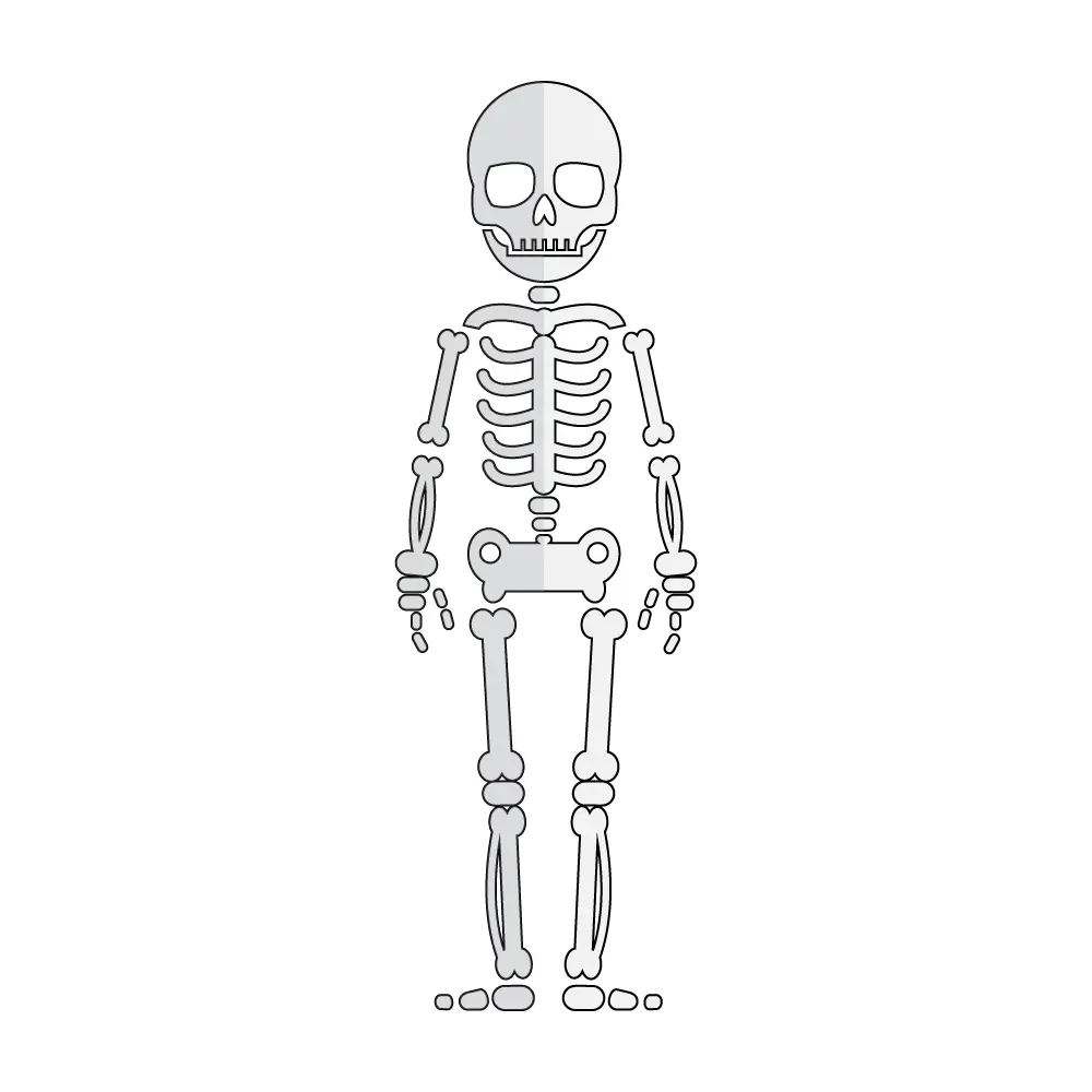 Bilder Zum Nachzeichnen Einfach Skelett Einfach Zeichnen Tutorial - Vrogue