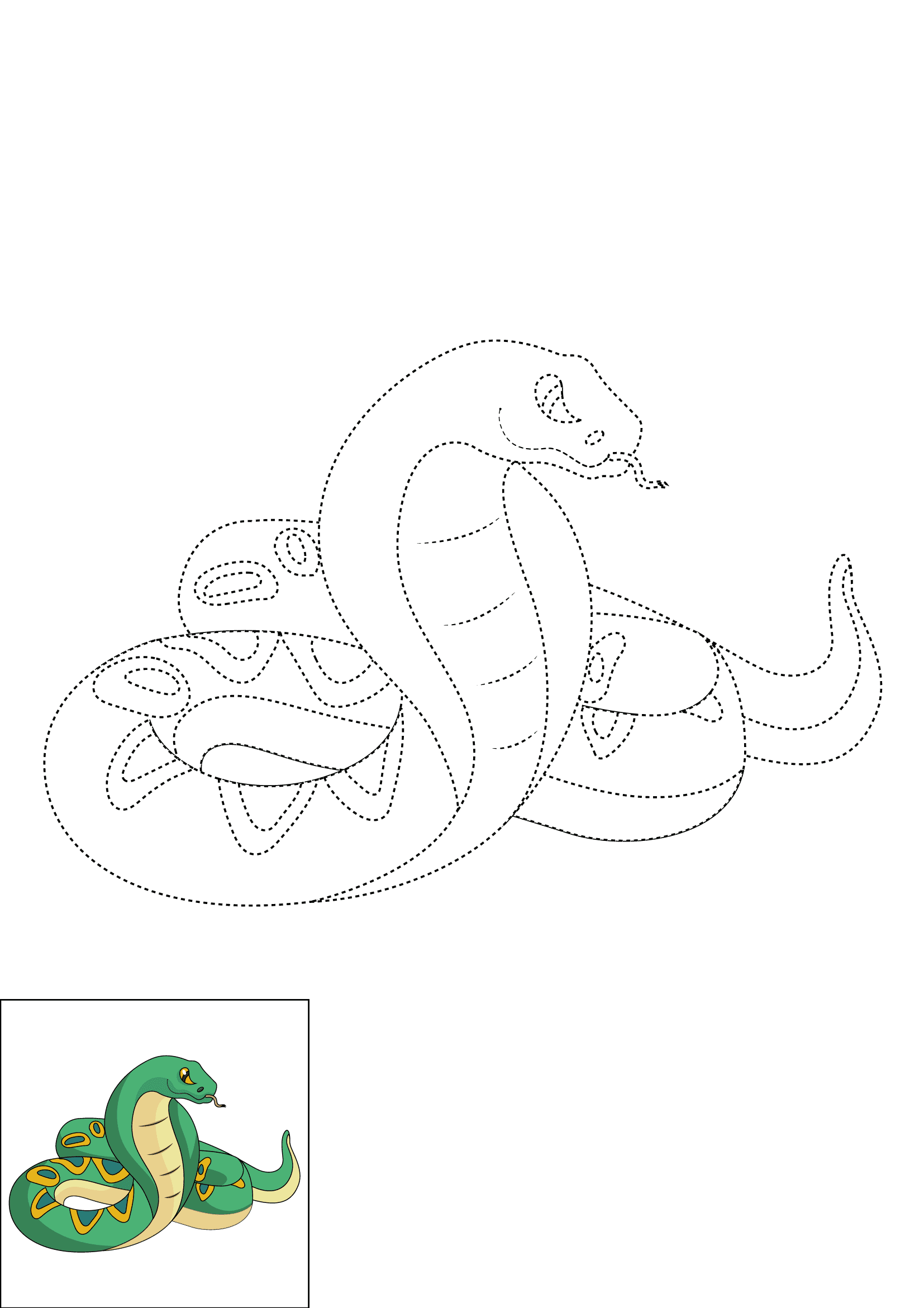 How to Draw A Snake Step by Step Printable Dotted