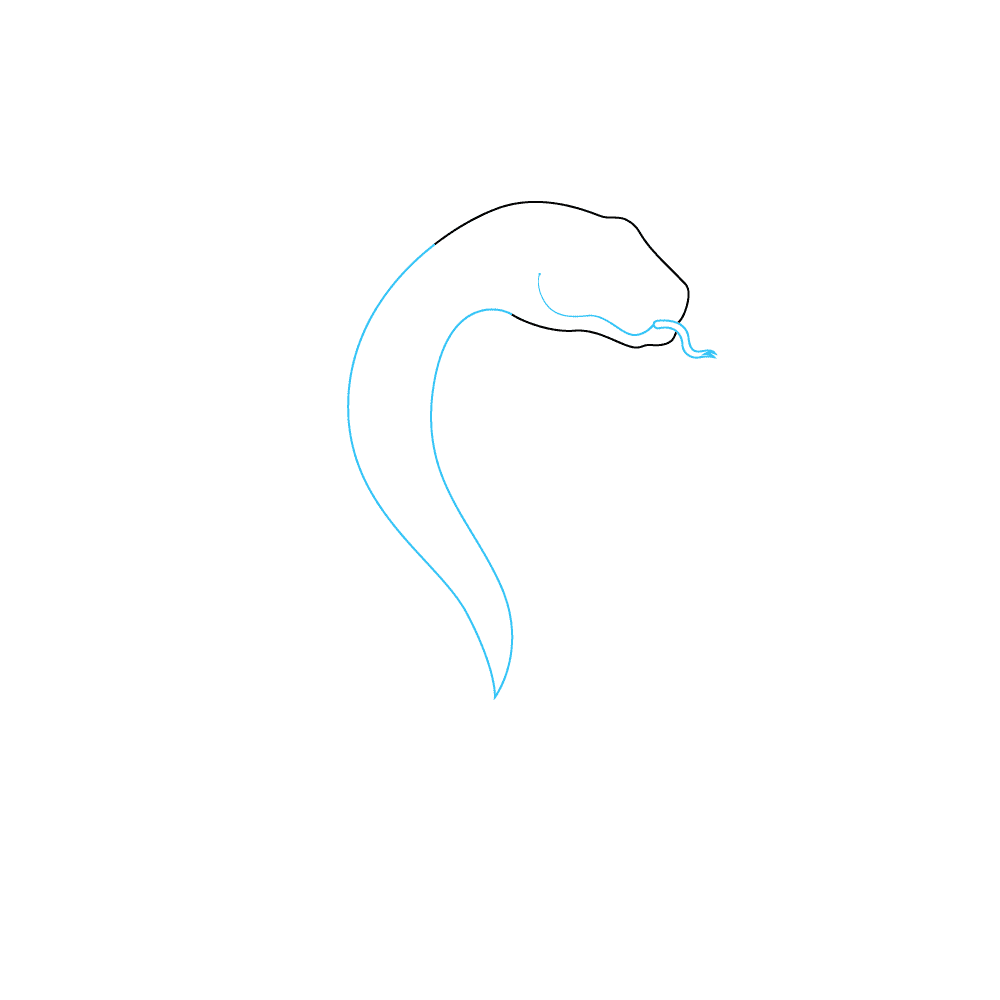 How to Draw A Snake Step by Step Step  2