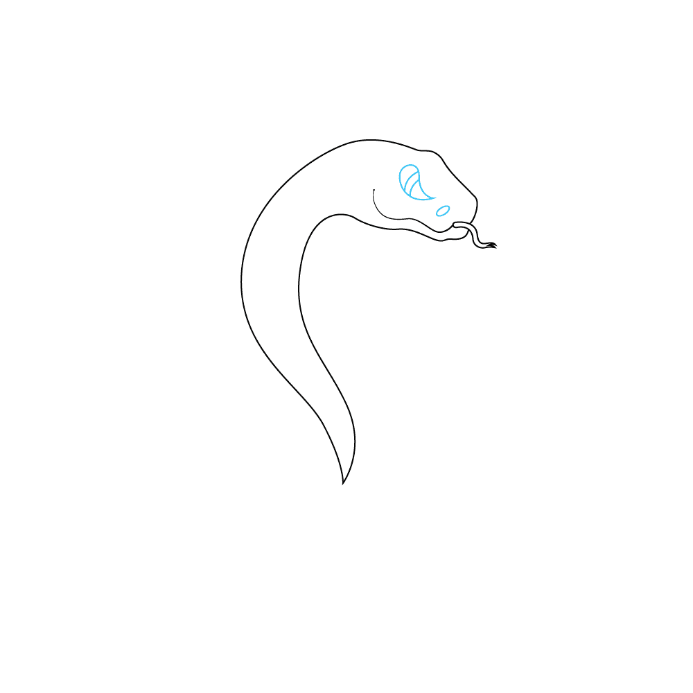 How to Draw A Snake Step by Step Step  3