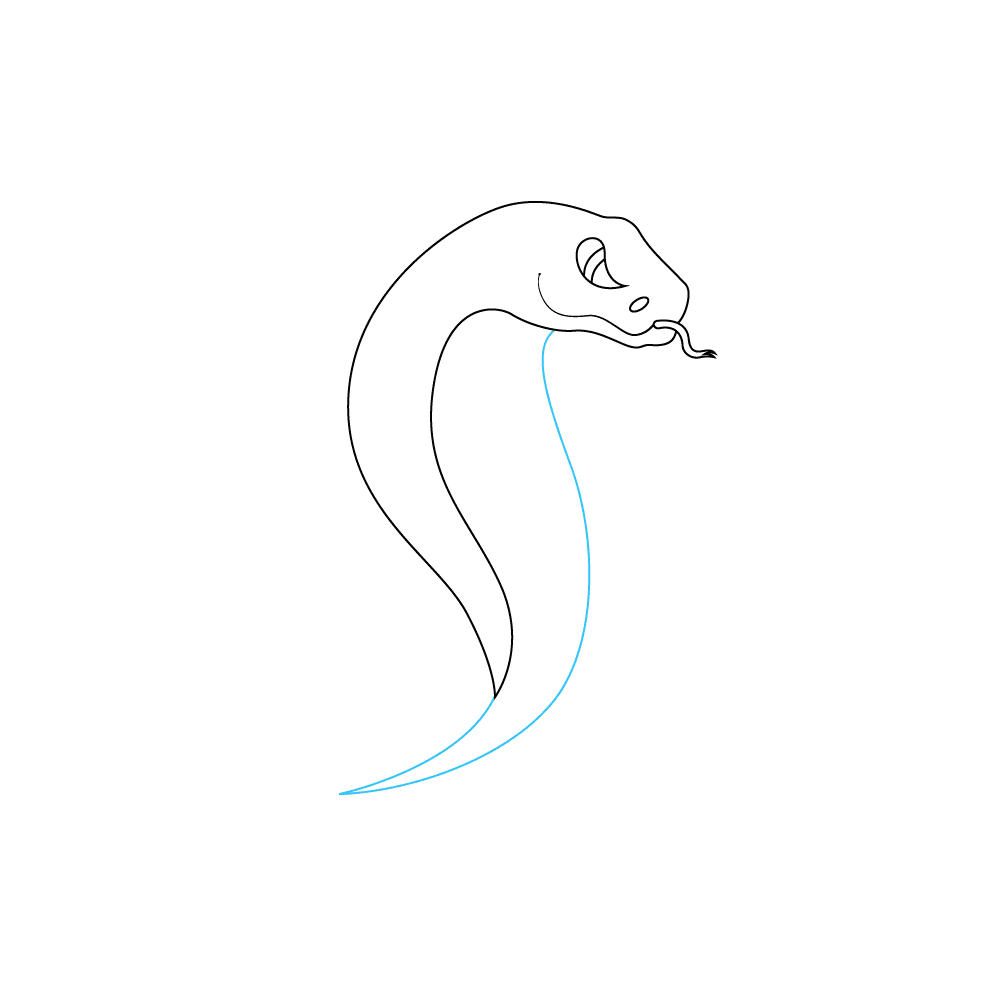 How to Draw A Snake Step by Step Step  4