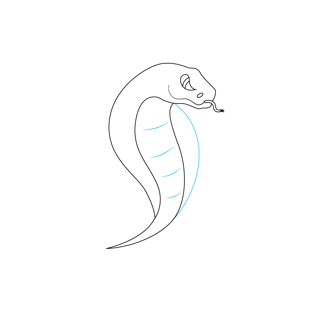 How to Draw A Snake Step by Step Step  5