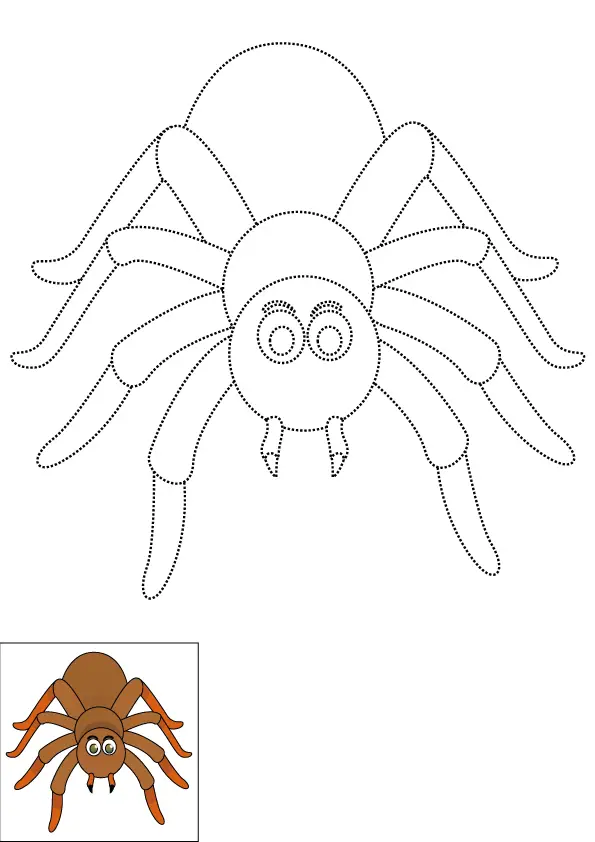How to Draw A Spider Step by Step Printable Dotted