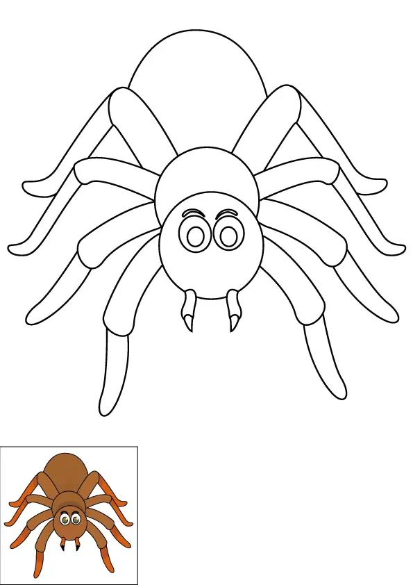 How to Draw A Spider Step by Step Printable Color