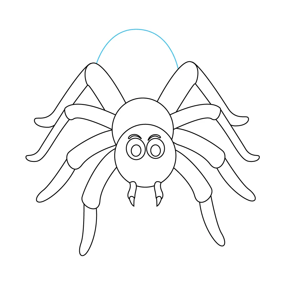 How to Draw A Spider Step by Step Step  10