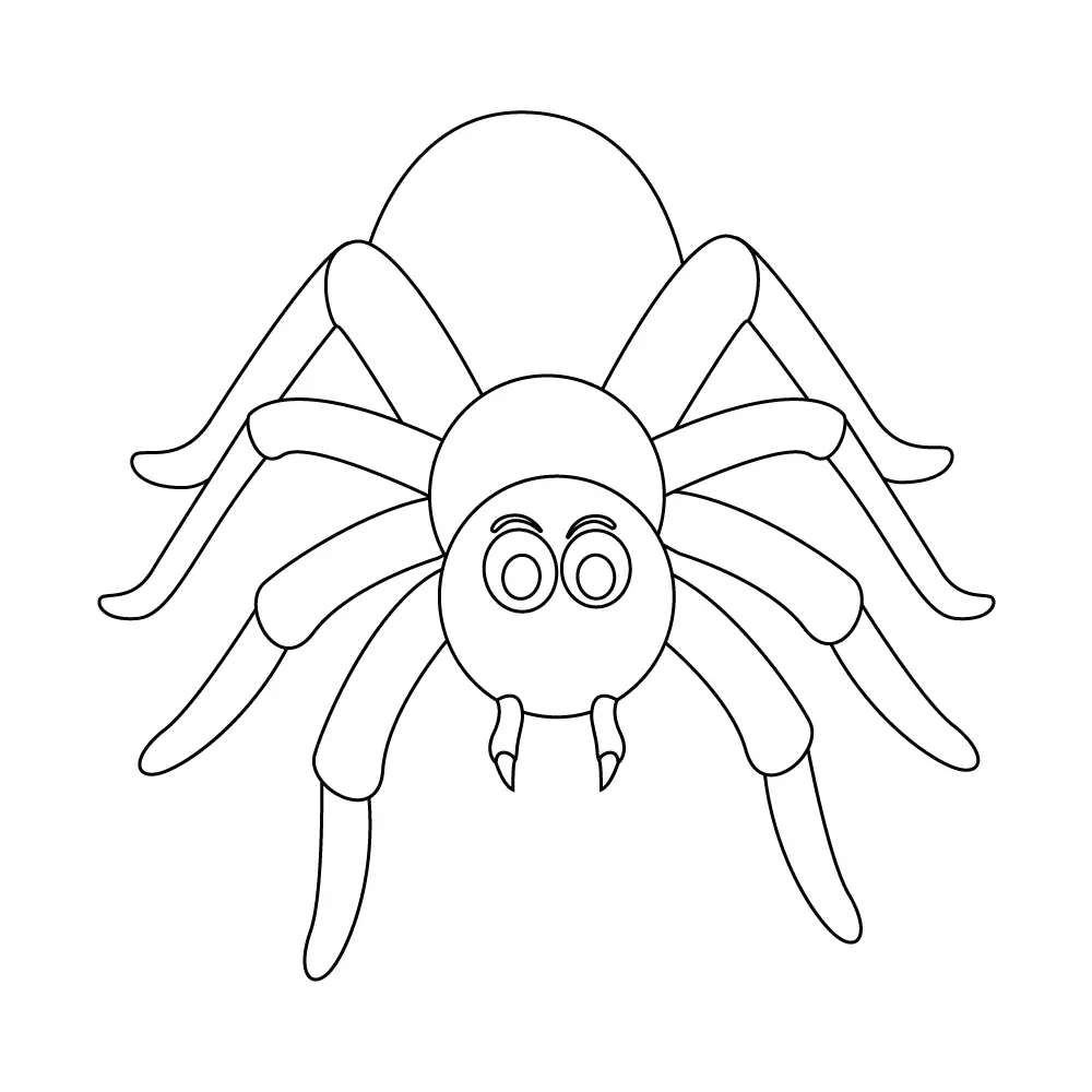 How to Draw A Spider Step by Step Step  11