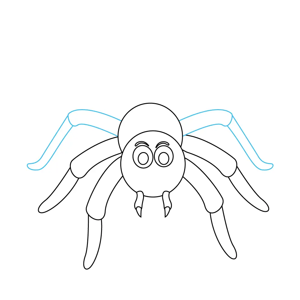 How to Draw A Spider Step by Step Step  8
