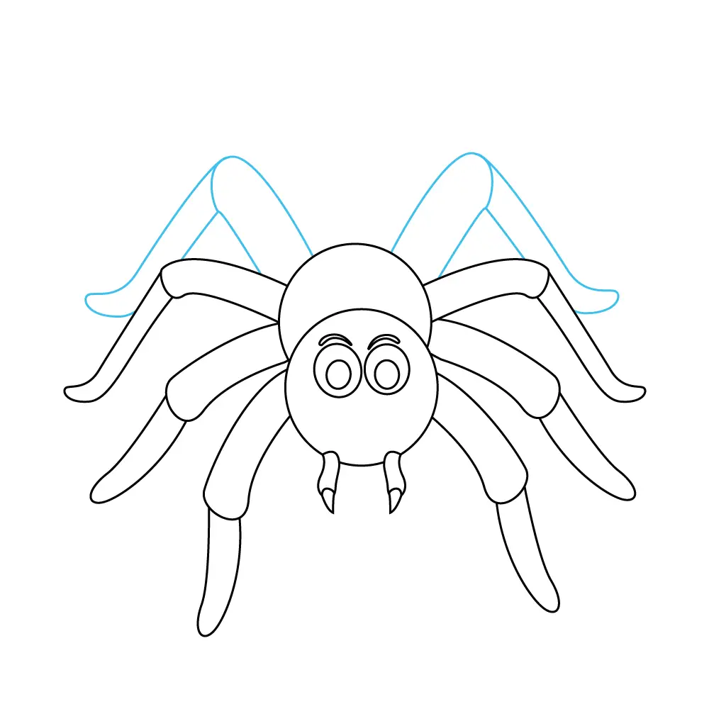 How to Draw A Spider Step by Step Step  9