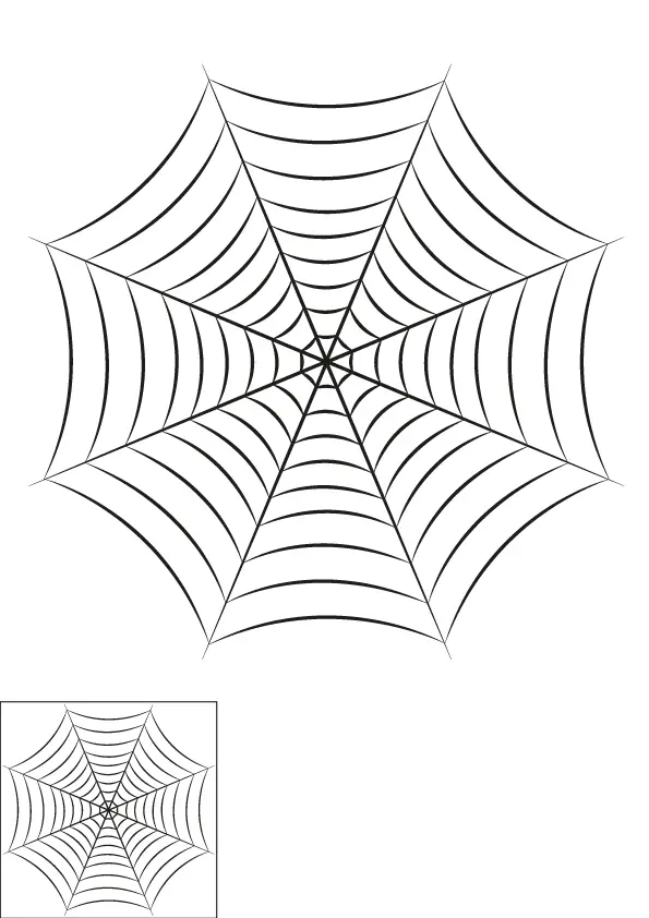 How to Draw A Spider Web Step by Step Printable Color