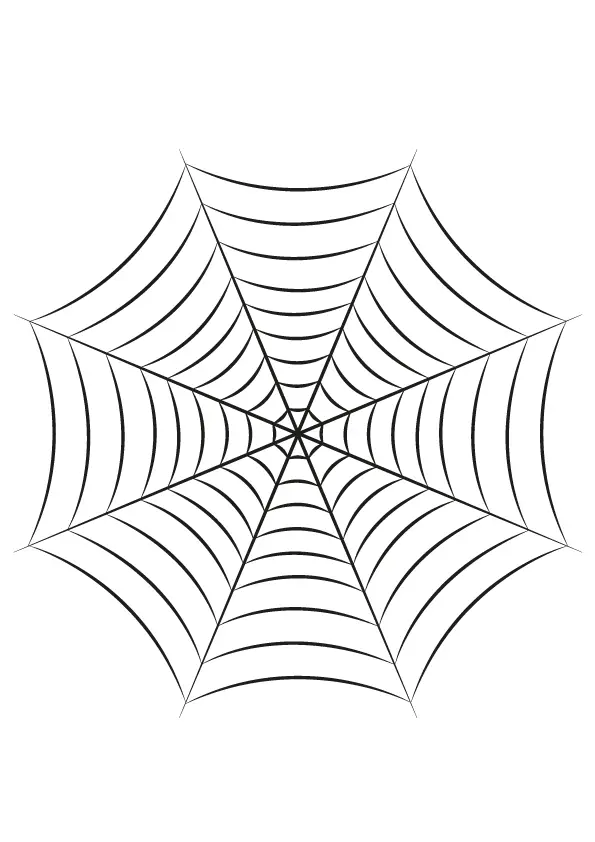 How to Draw A Spider Web Step by Step Printable