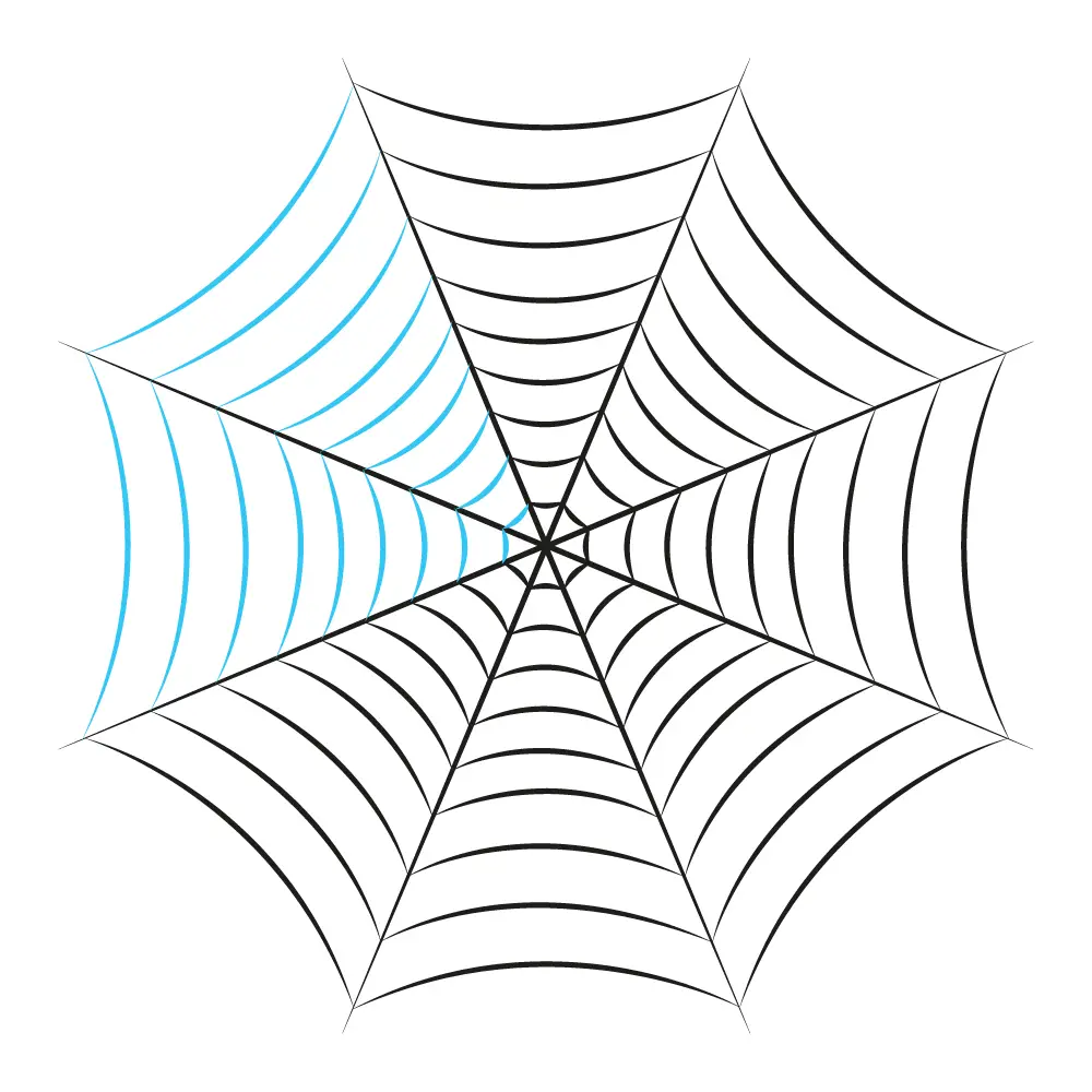 How to Draw A Spider Web Step by Step Step  10