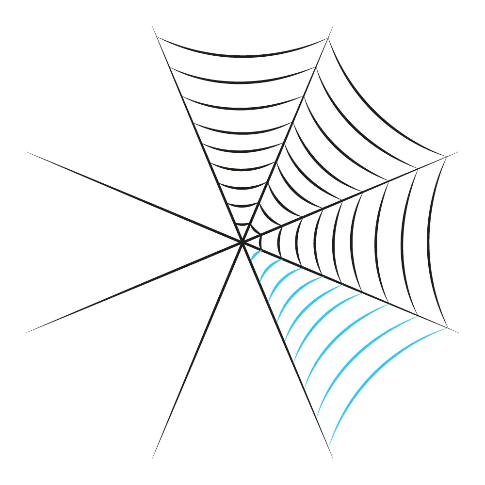 How to Draw A Spider Web Step by Step Step  8
