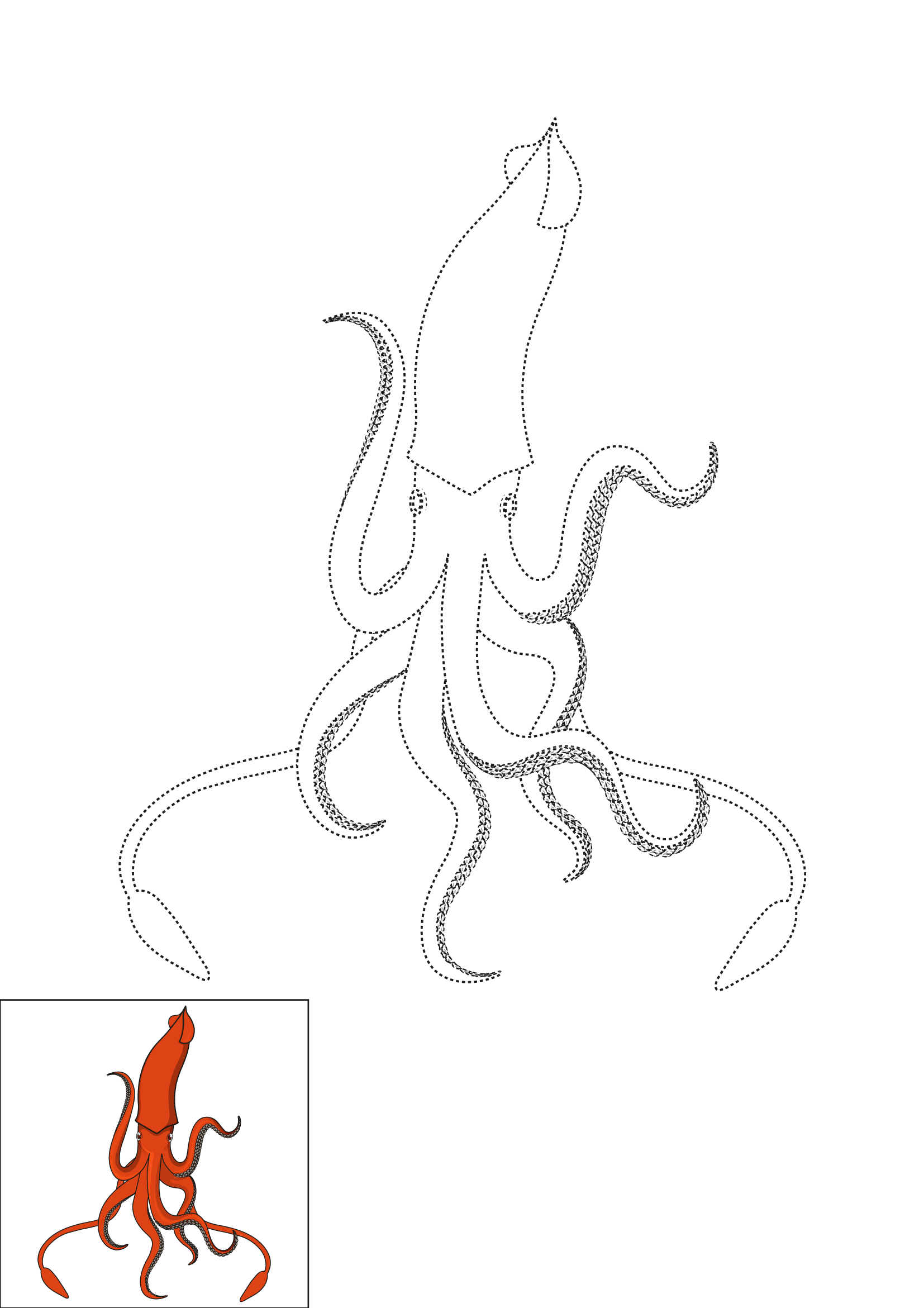 How to Draw A Squid Step by Step Printable Dotted