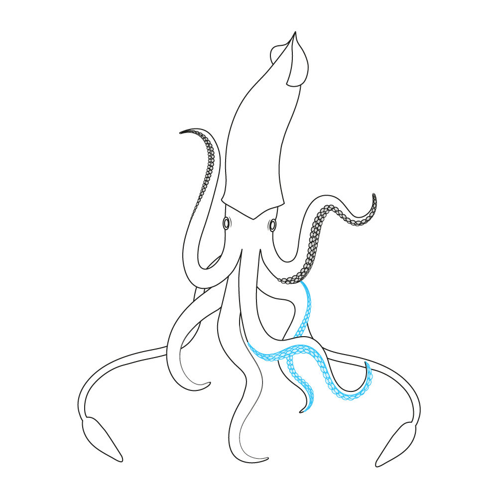 How to Draw A Squid Step by Step Step  10