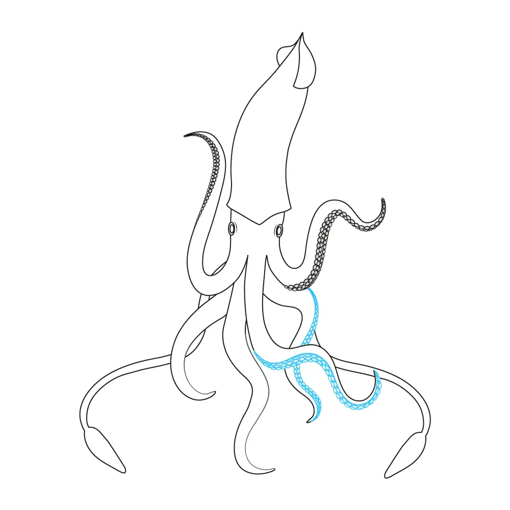 How to Draw A Squid Step by Step Step  10