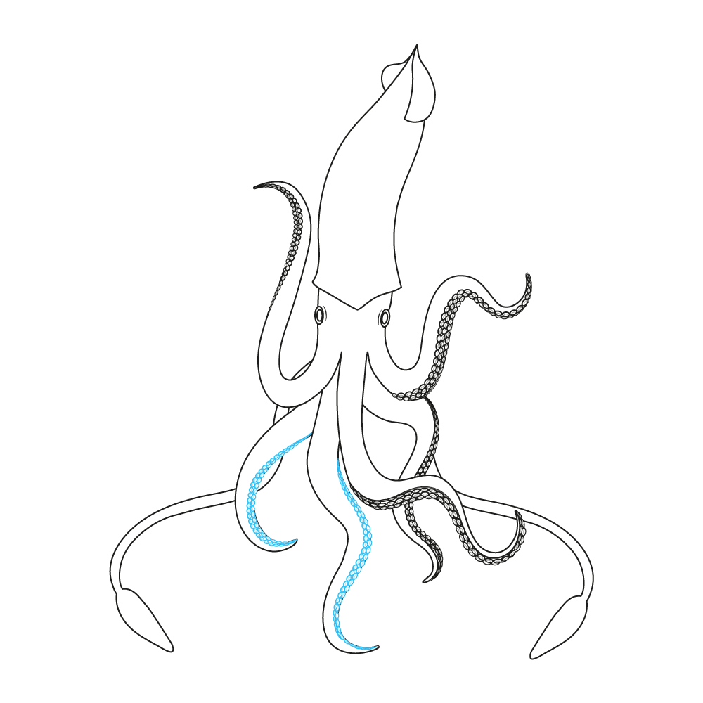 How to Draw A Squid Step by Step Step  11