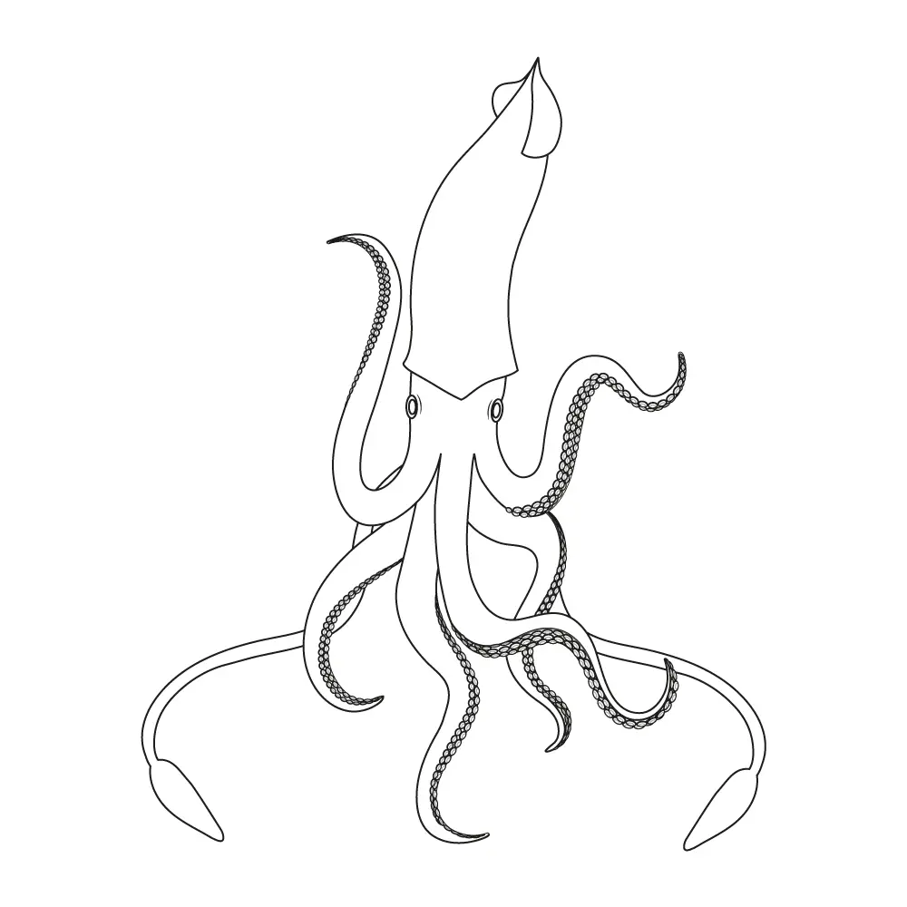 How to Draw A Squid Step by Step Step  12