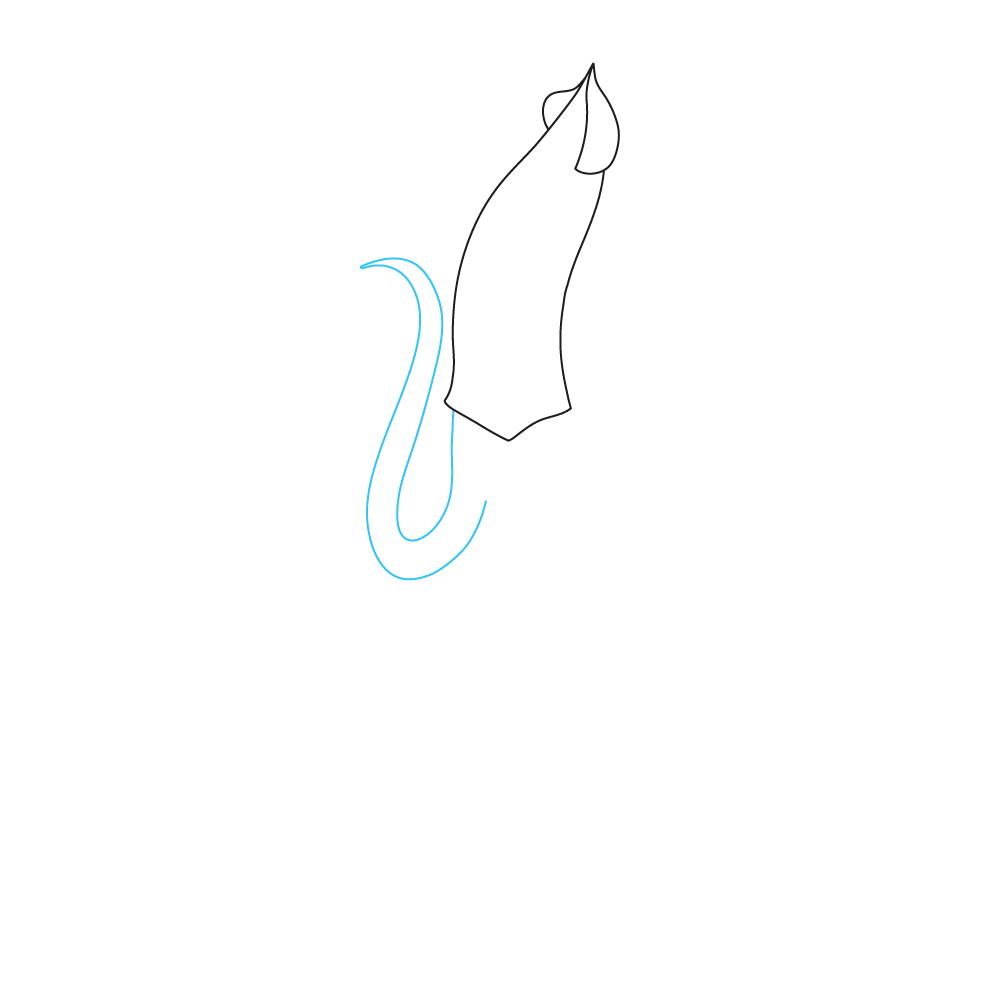 How to Draw A Squid Step by Step Step  3