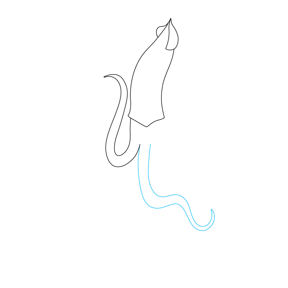 How to Draw A Squid Step by Step Step  4