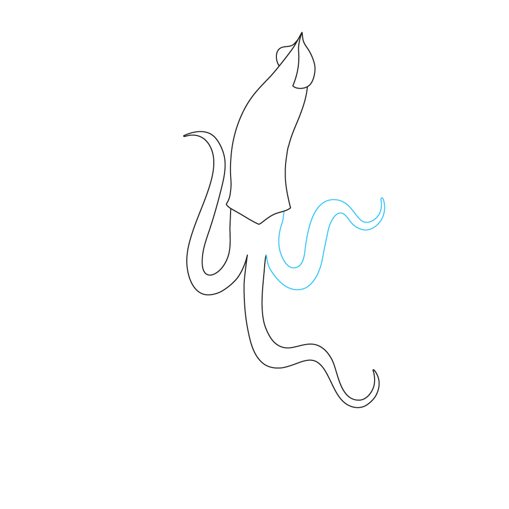 How to Draw A Squid Step by Step Step  5