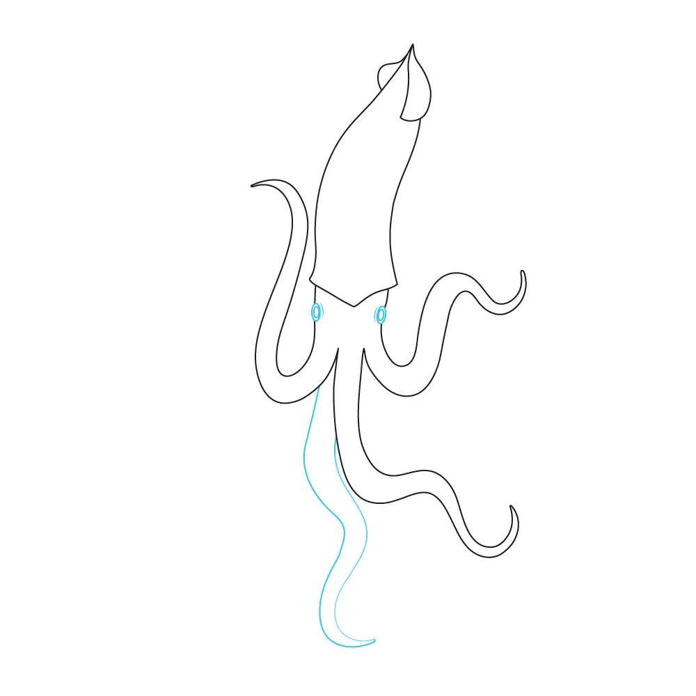 How to Draw A Squid Step by Step Step  6