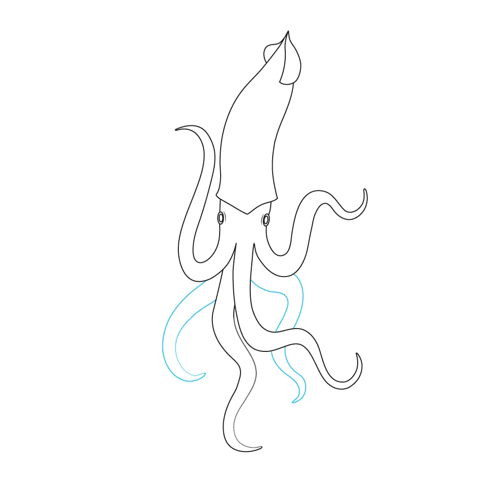 How to Draw A Squid Step by Step Step  7