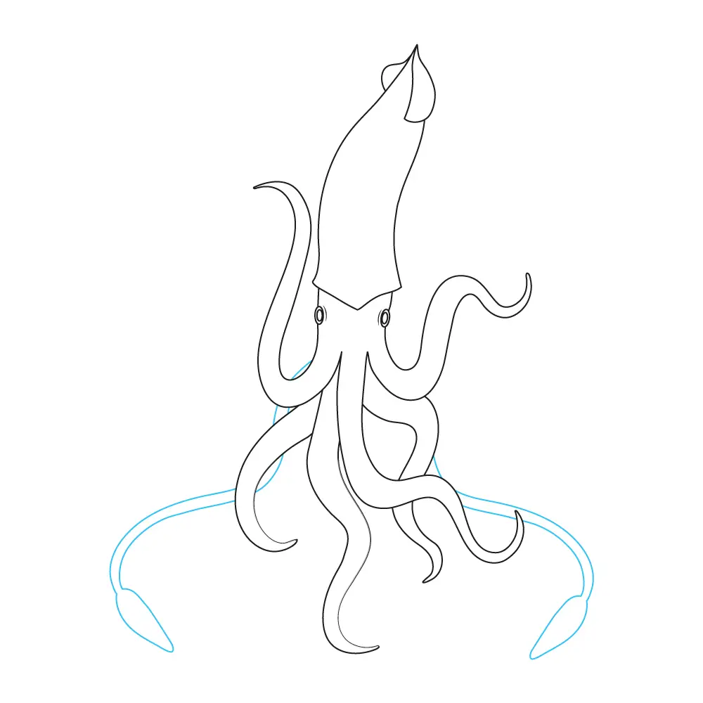 How to Draw A Squid Step by Step Step  8