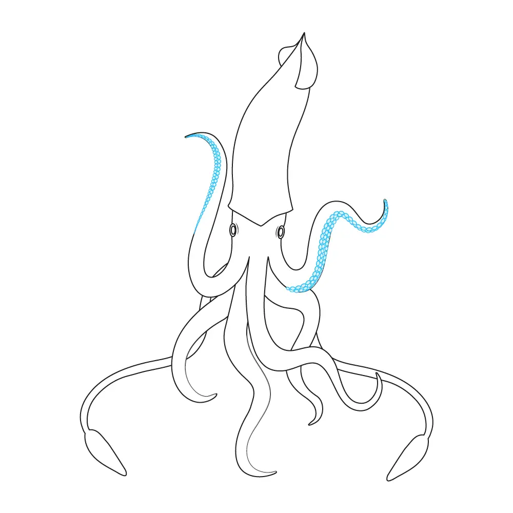 How to Draw A Squid Step by Step Step  9
