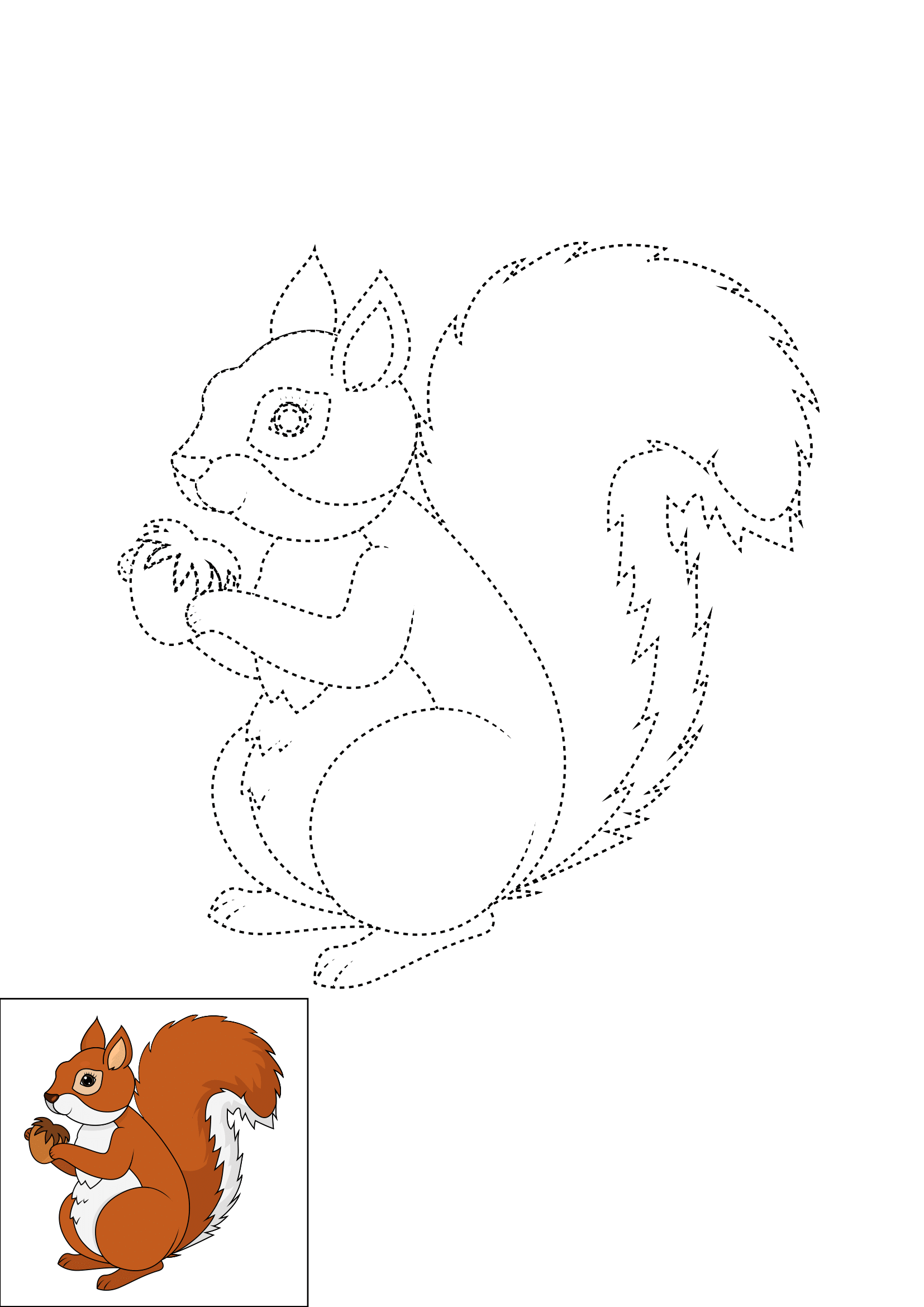 How to Draw A Squirrel Step by Step Printable Dotted