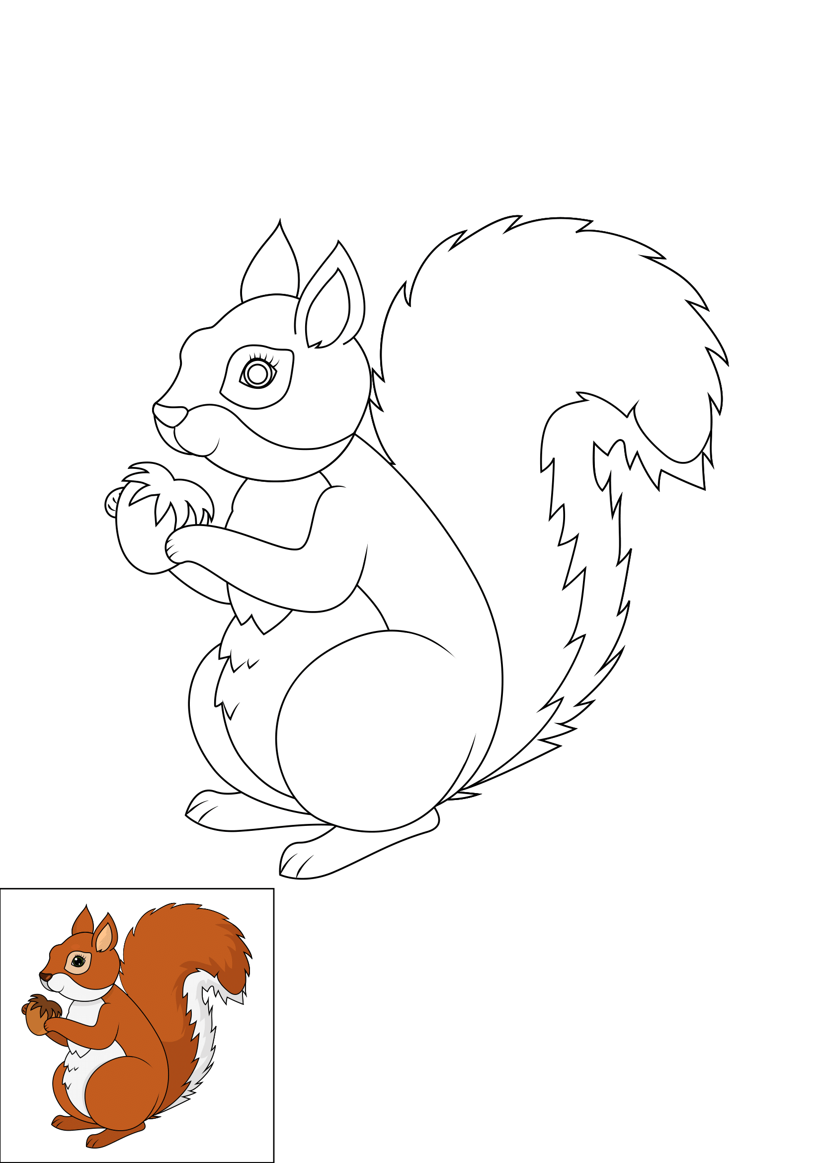 How to Draw A Squirrel Step by Step Printable Color