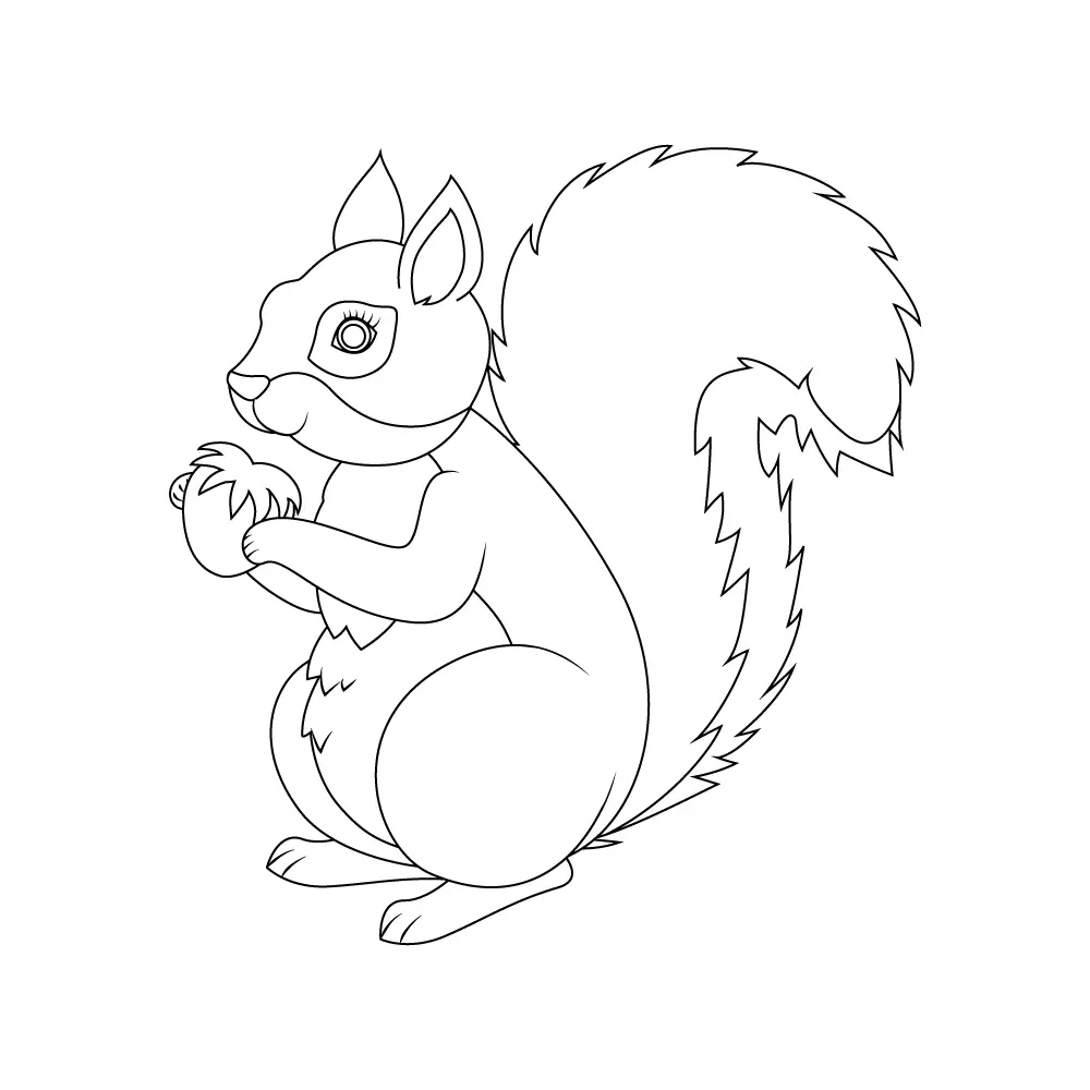 How to Draw A Squirrel Step by Step Step  11
