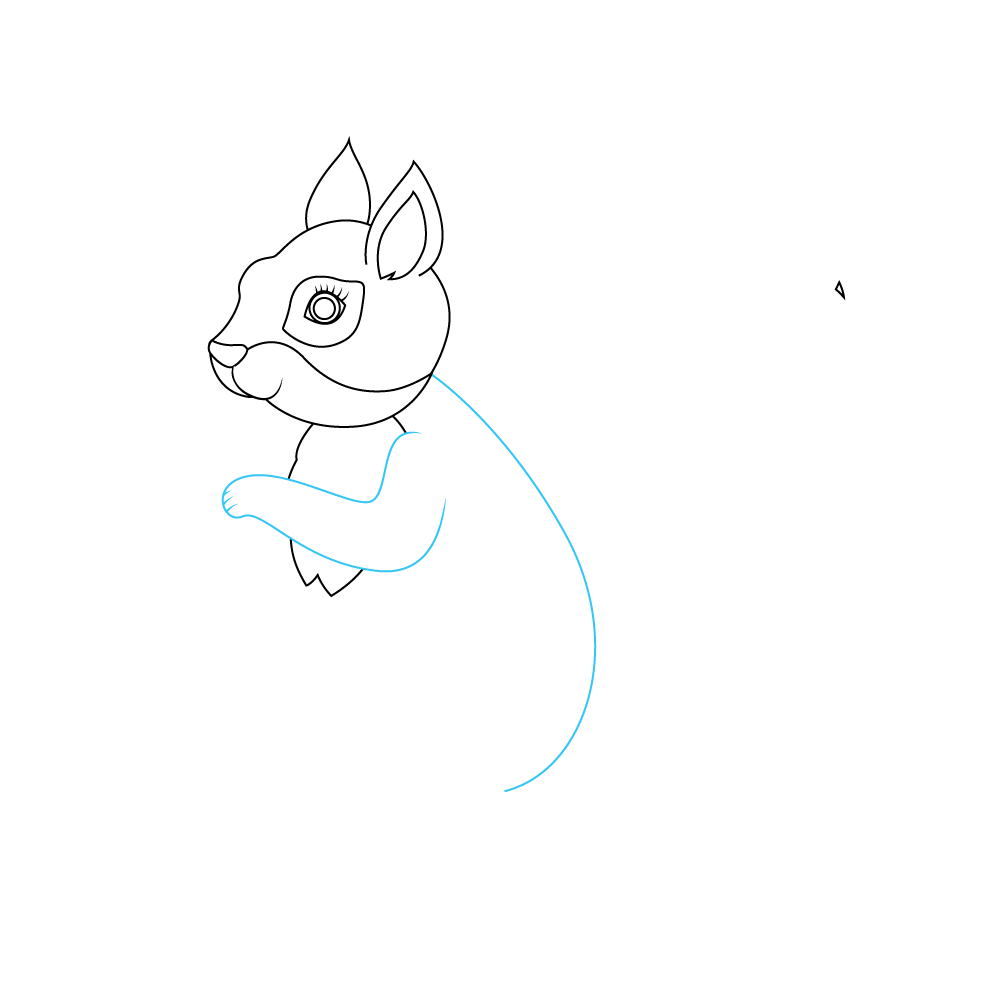 How to Draw A Squirrel Step by Step Step  5