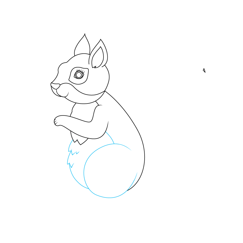 How to Draw A Squirrel Step by Step Step  6