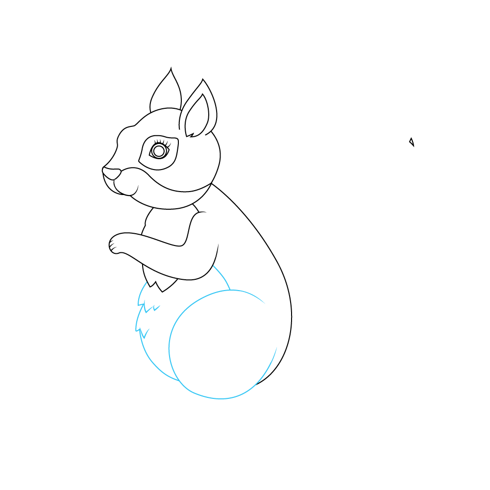 How to Draw A Squirrel Step by Step