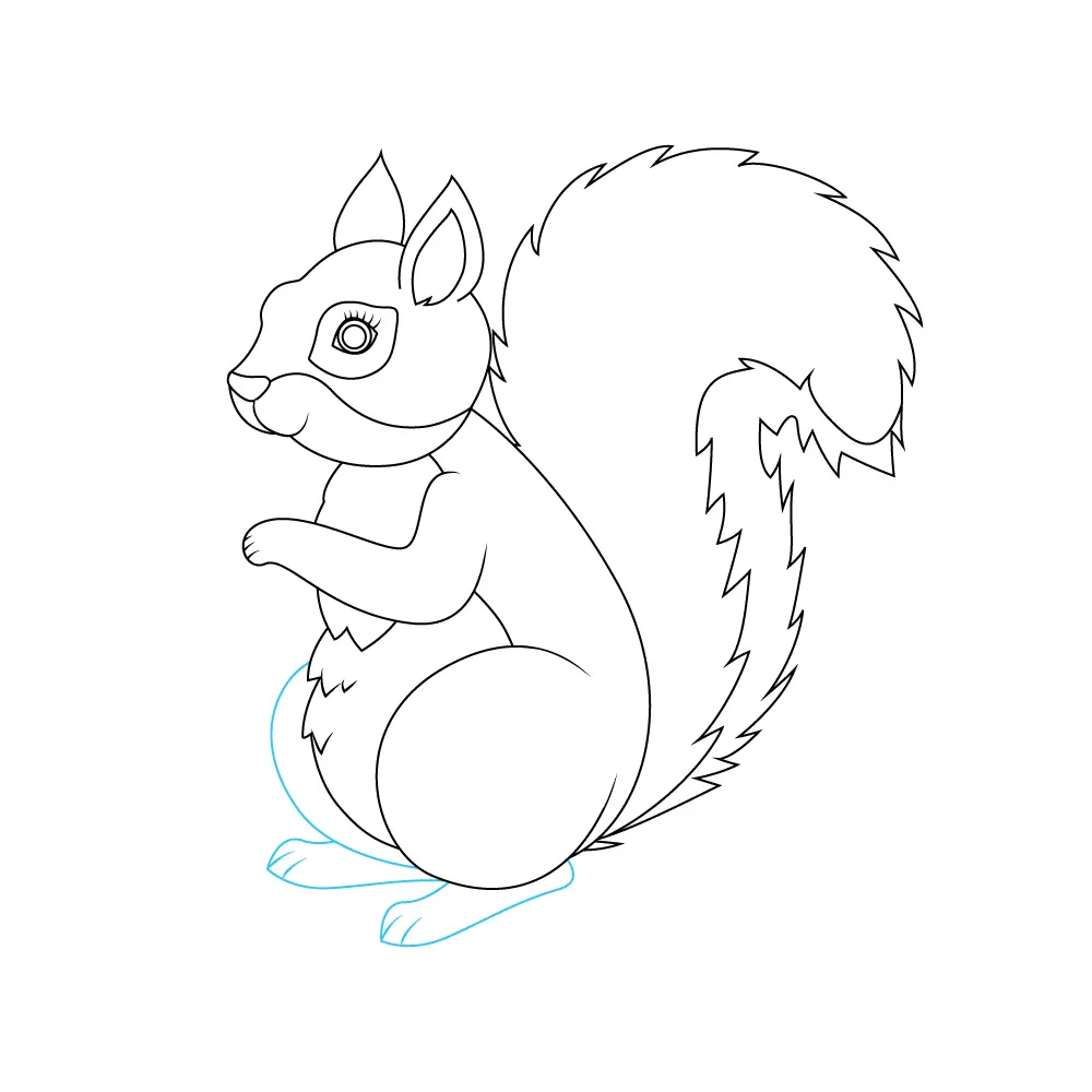 How to Draw A Squirrel Step by Step Step  9