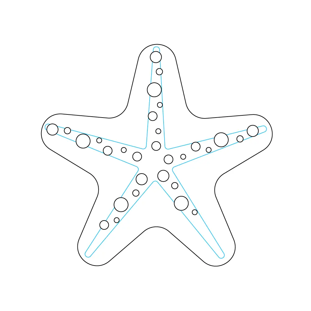 How to Draw A Starfish Step by Step Step  8