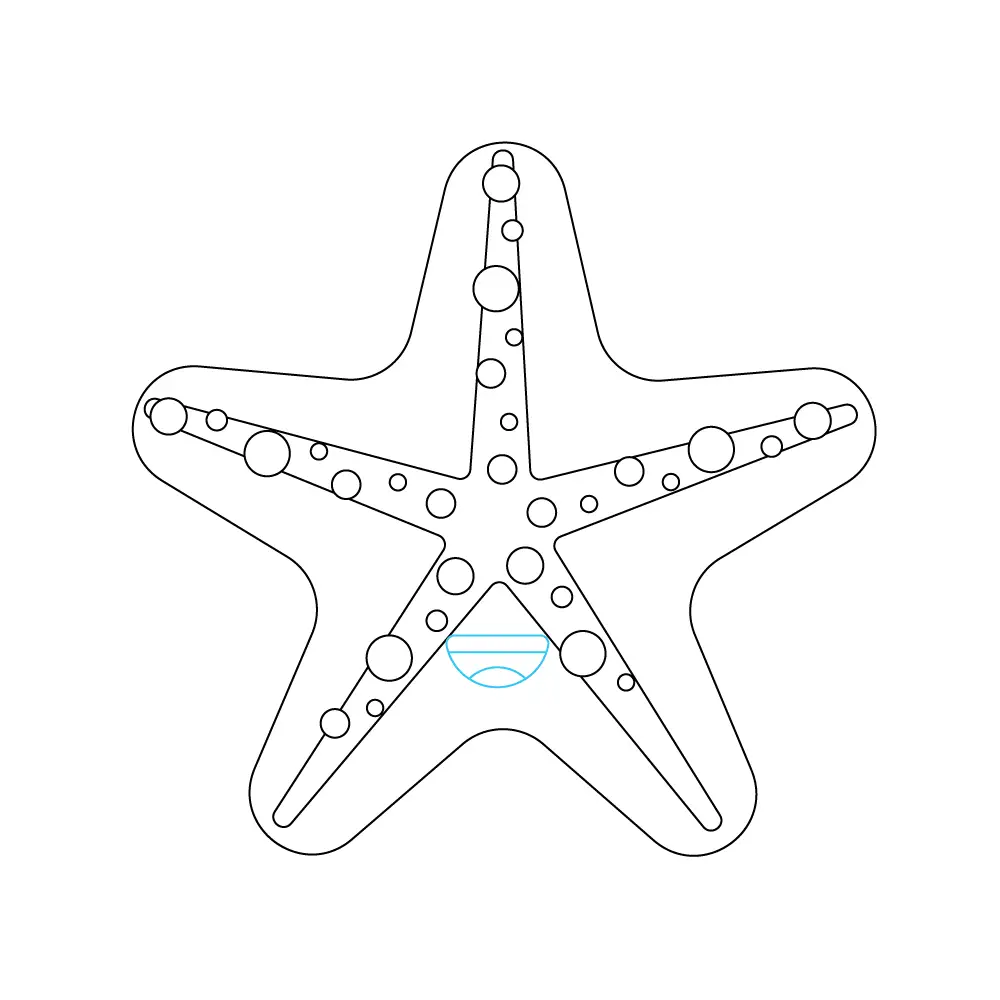 How to Draw A Starfish Step by Step Step  9