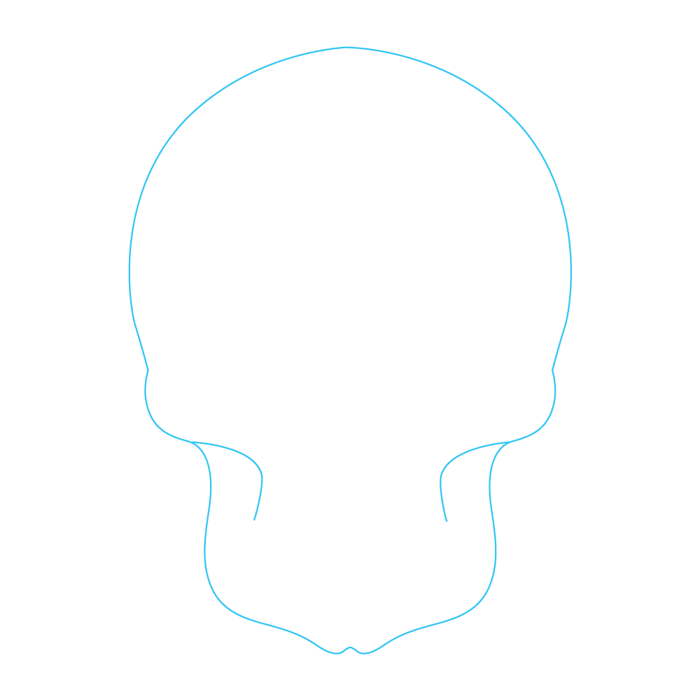 How to Draw A Sugar Skull Step by Step Step  1