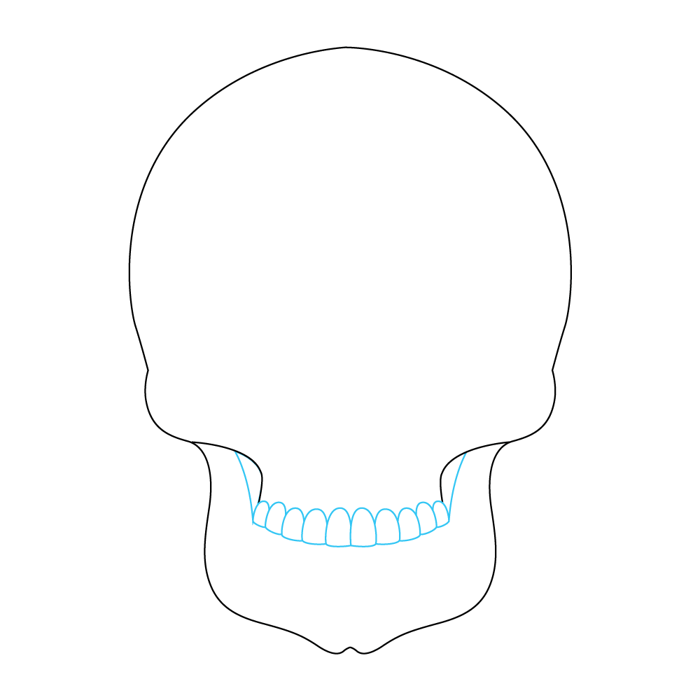 How to Draw A Sugar Skull Step by Step Step  2