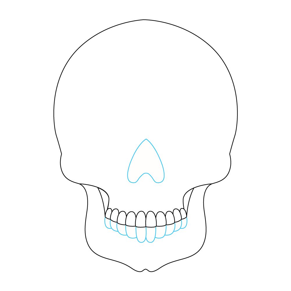 How to Draw A Sugar Skull Step by Step Step  3