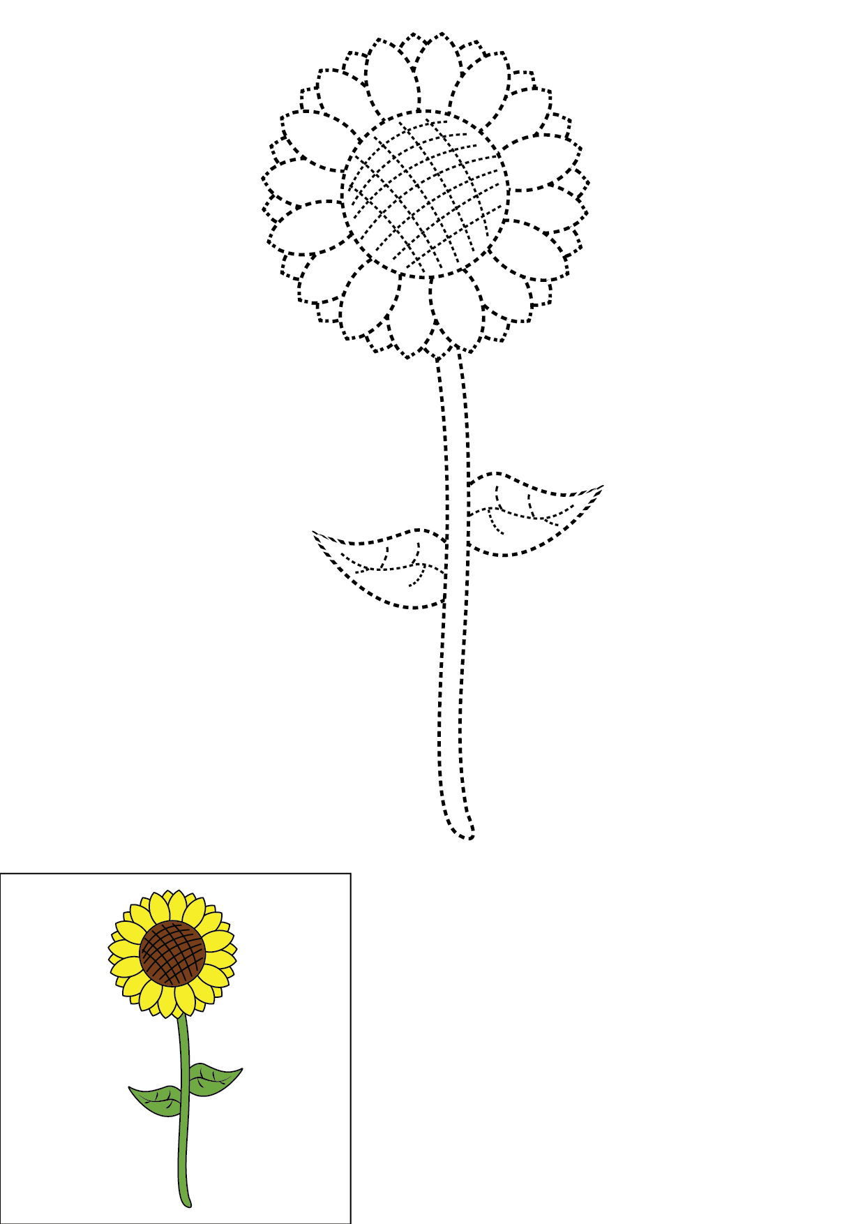 How to Draw A Sunflower Step by Step Printable Dotted