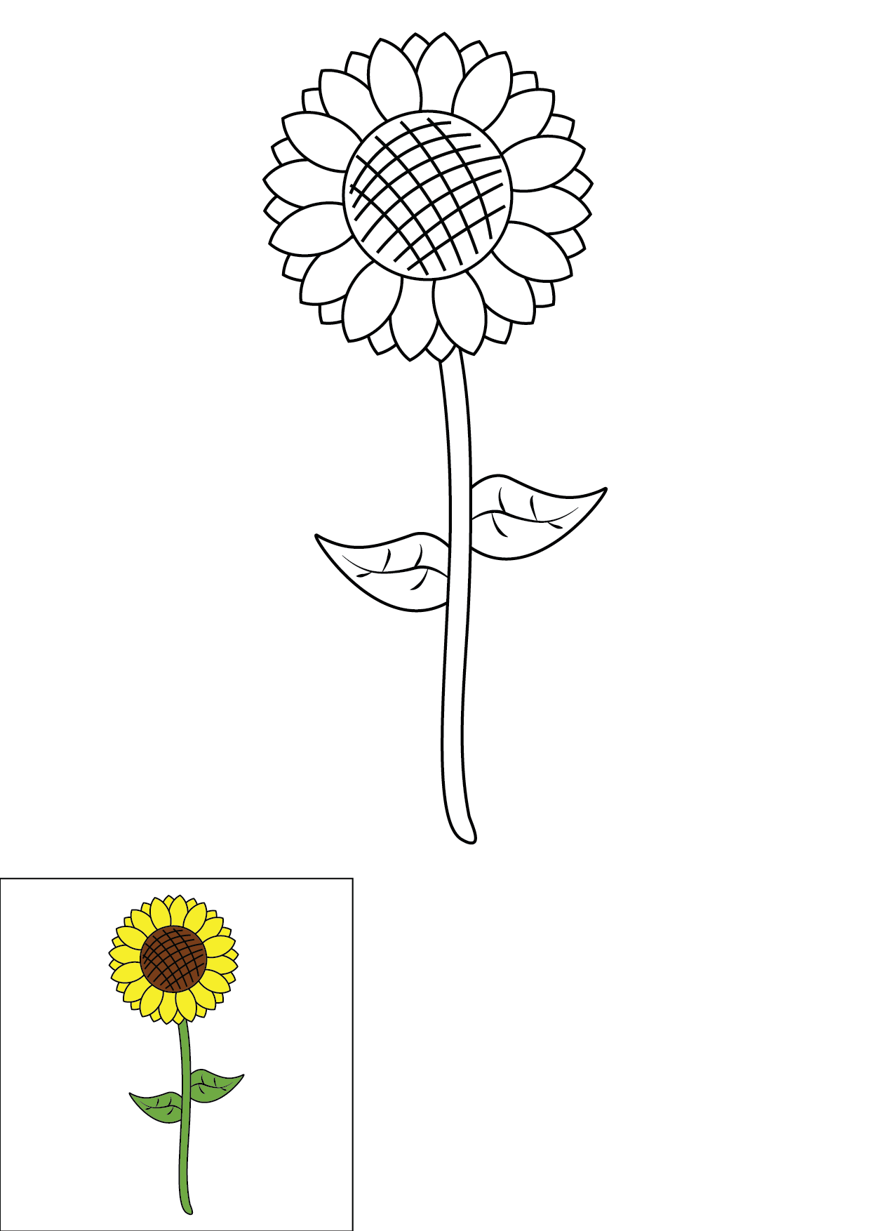 How to Draw A Sunflower Step by Step Printable Color