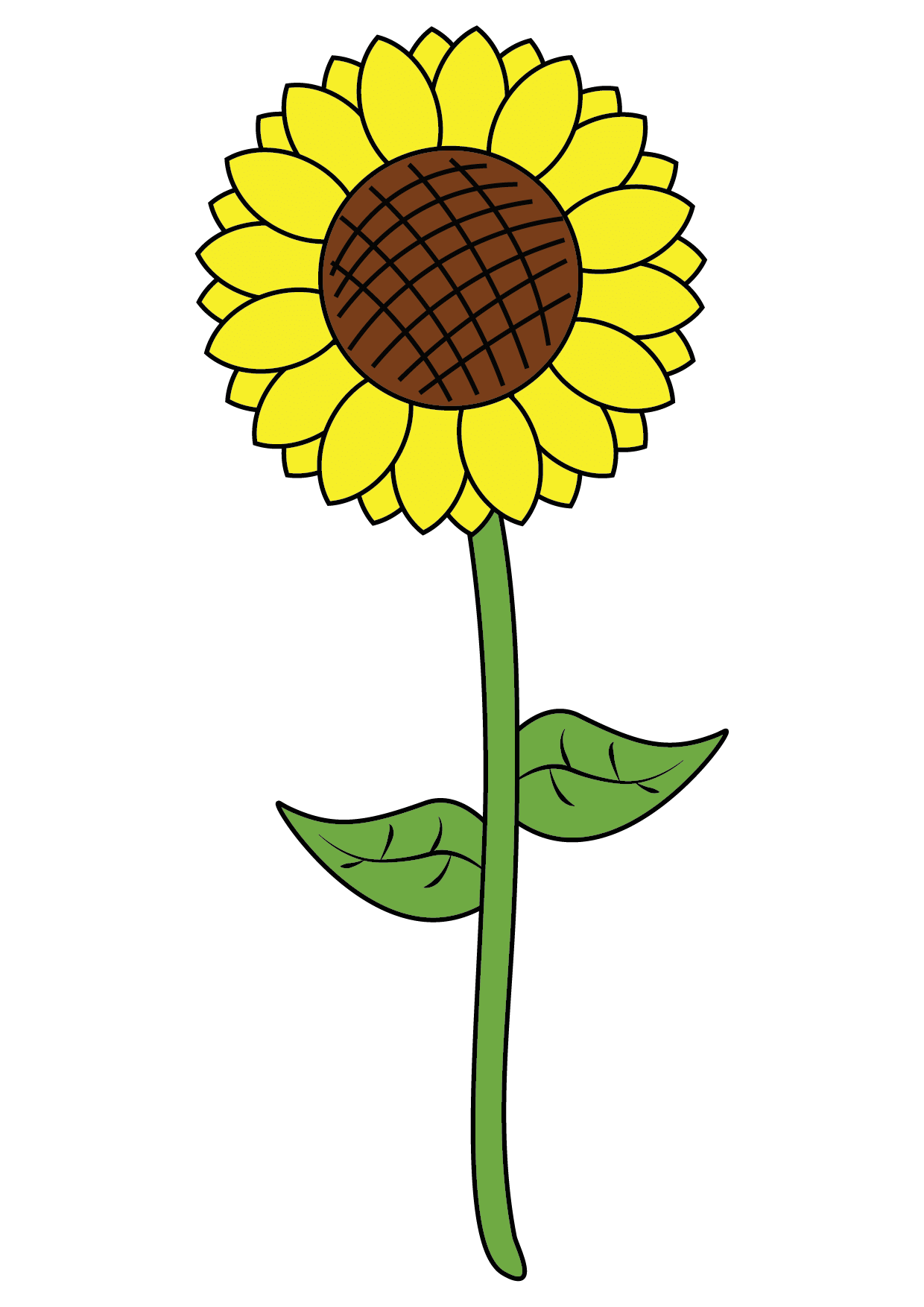 How to Draw A Sunflower Step by Step Printable