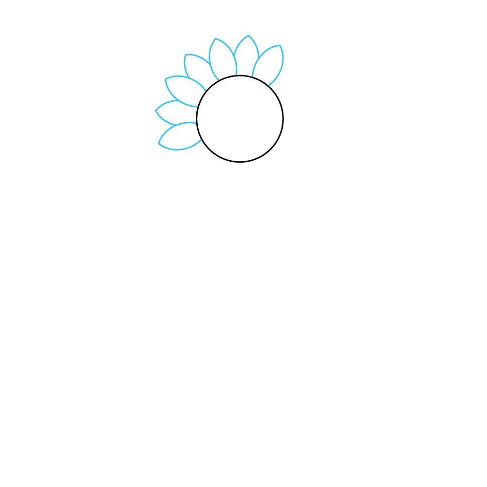 How to Draw A Sunflower Step by Step Step  2