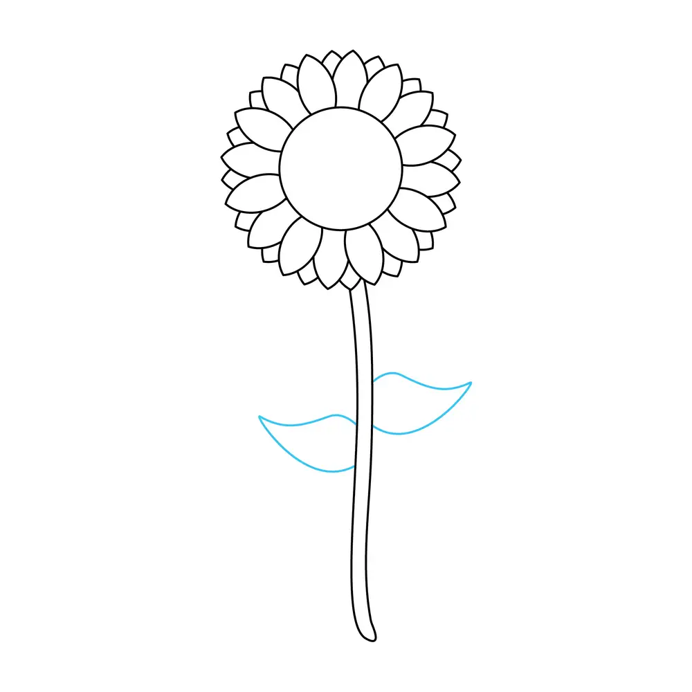 How to Draw A Sunflower Step by Step Step  6