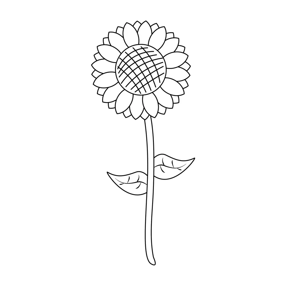 How to Draw A Sunflower Step by Step Step  8